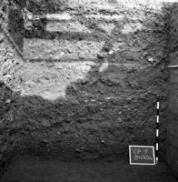 [The Temple of Castor and Pollux (Rome, Italy), Trench F: West baulk]