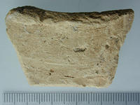 [Roman Villa, loc. S. Maria (Nemi, Italy), Trench DG 135: Plain Ware]