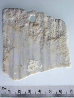 [Roman Villa, loc. S. Maria (Nemi, Italy), Trench CE 158: Marble]