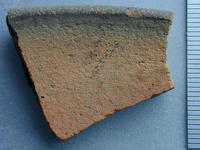 [Roman Villa, loc. S. Maria (Nemi, Italy), Trench ZA 382: African Red Slip Ware]