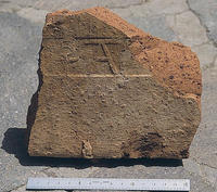 [Roman Villa, loc. S. Maria (Nemi, Italy), Trench CE: Brick Stamps, 39a]