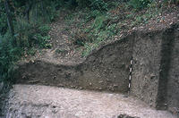 [Roman Villa, loc. S. Maria (Nemi, Italy), Cistern]