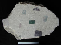 [Roman Villa, loc. S. Maria (Nemi, Italy), Trench EE 2.20 (Δ 02-1506): Mosaic floors]